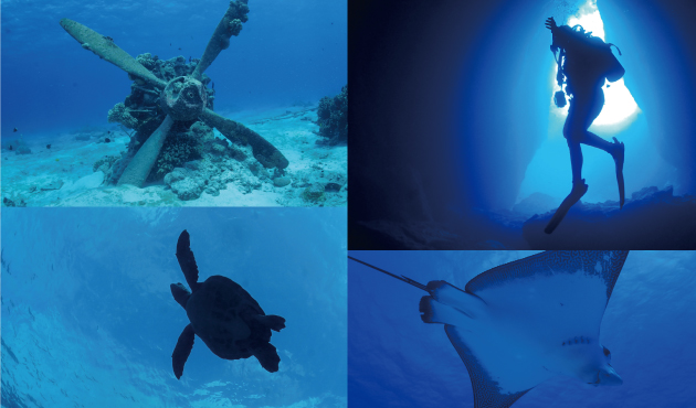 Saipan International Dive Center