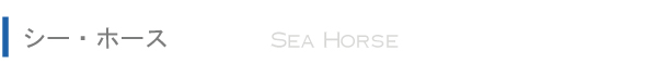 SEA HORSE