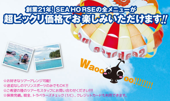 SEA HORSEの詳細情報