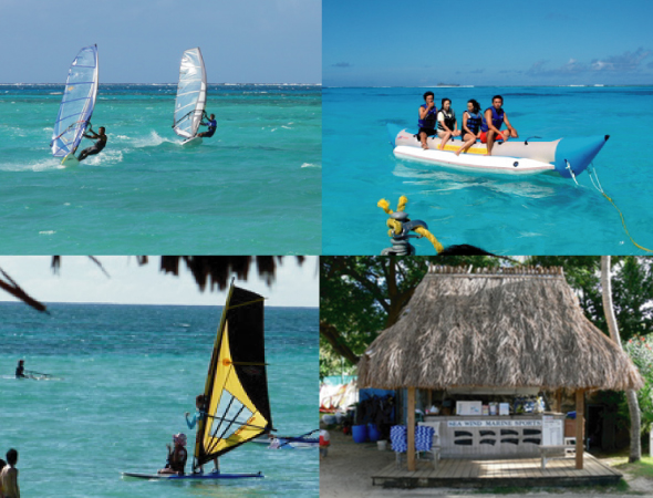 �V�[�E�B���h�E�}�����E�X�|�[�c�E�N���u�̏ڍ׏��